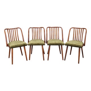 Mid-Century Modern Beech Dining Chairs, 1960s, Set of 4 For Sale