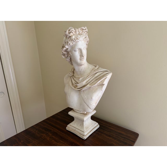 English Late 20th Century Large Neoclassical Plaster Bust of Apollo Belvedere For Sale - Image 3 of 12