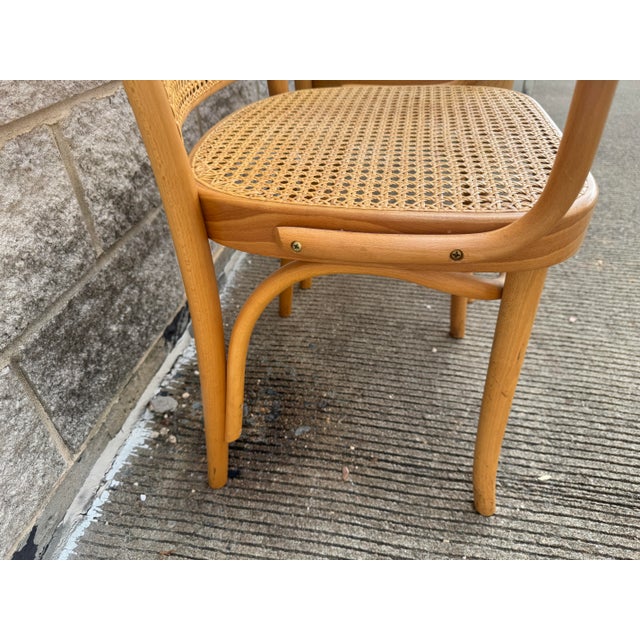 A Pair of Mid Century Thonet Style Bentwood Prague Chairs Chairs For Sale - Image 9 of 9
