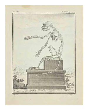 Juste Chevillet, The Skeleton, Etching, 1771