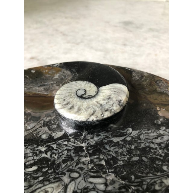 Stone Fossil Dish with Raised Fossil Design | Chairish