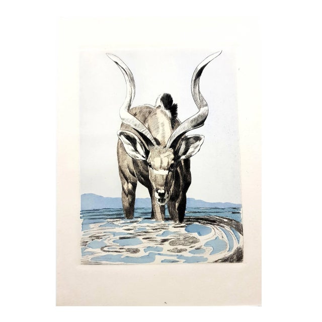 Blue Paul Jouve - Antelope - Original Engraving 1950 For Sale - Image 8 of 9