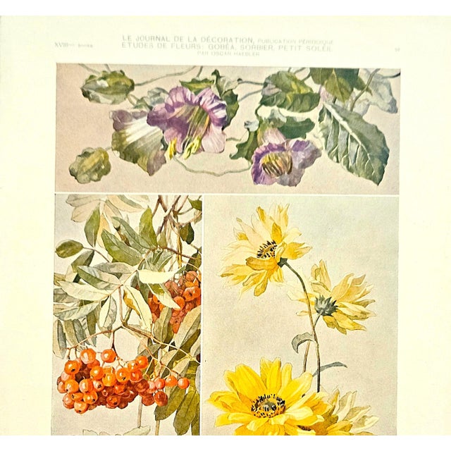 Bring the sunshine and these flowers into your home with this original c1900 Antique French Art Nouveau lithograph of...