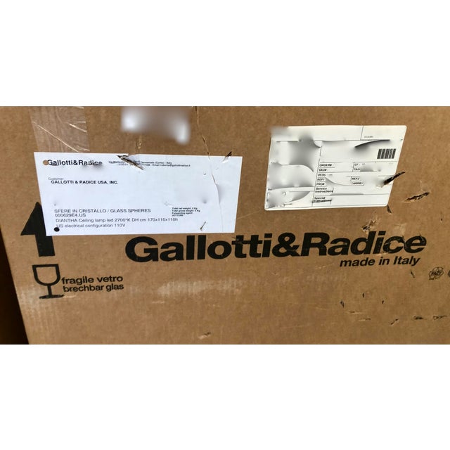 Gallotti & Radice Diantha 6-Light Suspension Light by Massimo Castagna | Brand New in Original Box For Sale - Image 4 of 5