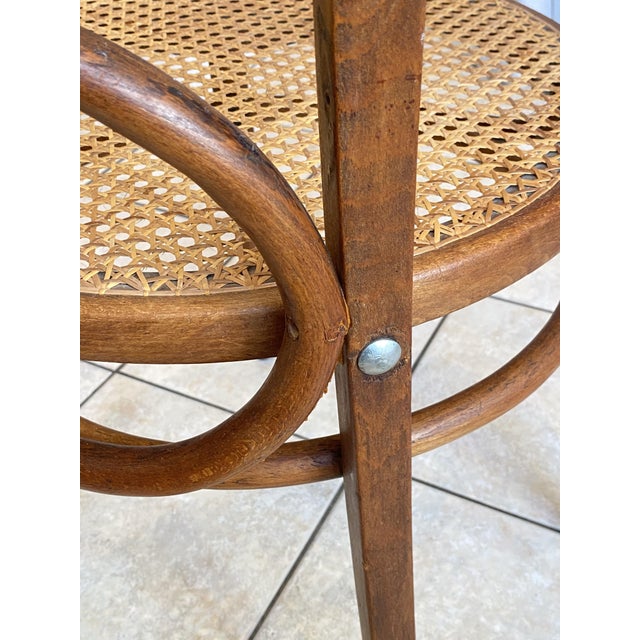 Bistro-Style Desk Chair in Bentwood with Cane Seat, 1930s For Sale - Image 15 of 18