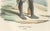 French Line Infantry Soldier 1795, Napoleonic Uniform Print – Vernet This finely hand-colored 19th-century print depicts a...