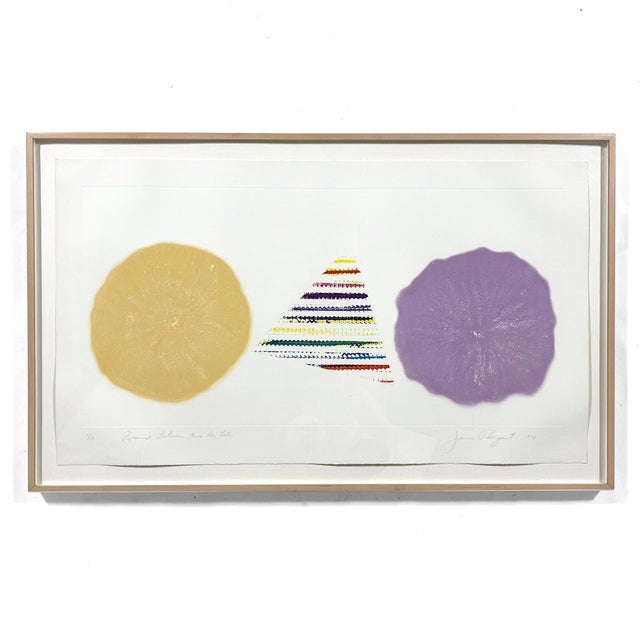 Abstract 1970s Abstract "Pyramid Between Two Dry Lakes" Print by James Rosenquist For Sale - Image 3 of 10