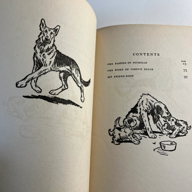 1928 Verdun Belle Dog Stories Book For Sale - Image 4 of 12
