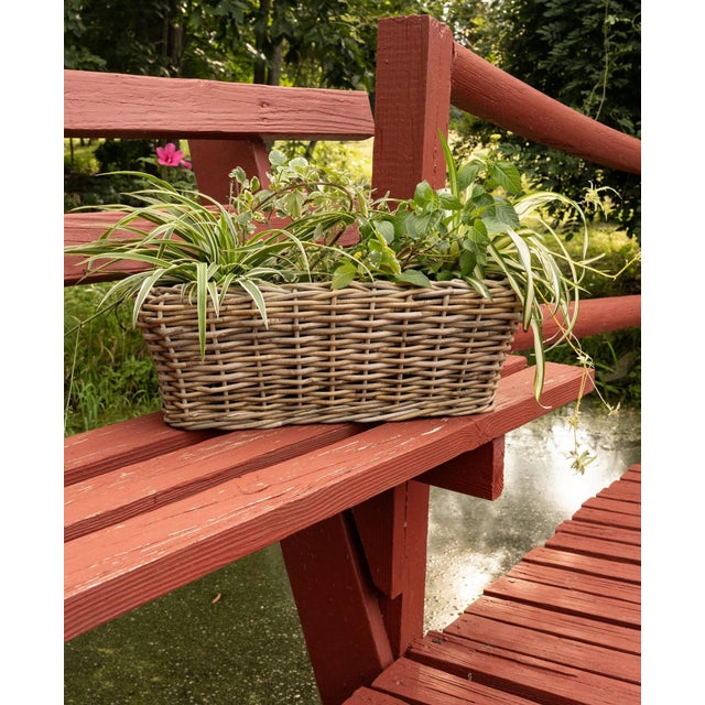 Artifacts Rattan Rectangular Planter with Black Plastic Insert, Natural, 20"X8" For Sale In Houston - Image 6 of 9