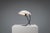 1950s NB100 Desk Lamp by Louis Christiaan Kalff for Philips, Netherlands, 1957 For Sale - Image 5 of 13