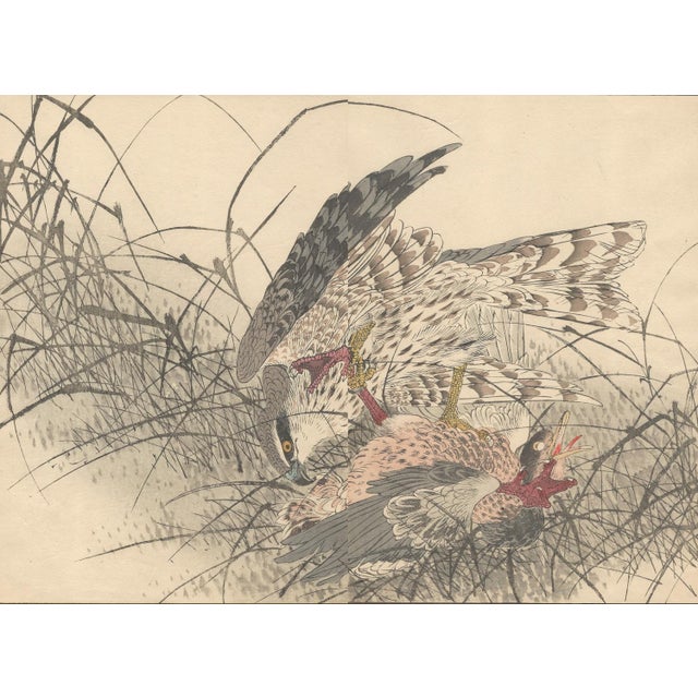 Imao Keinen, Eurasian Goshawk, 1892, Print For Sale - Image 4 of 18