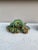 Rare Majolica Palissy Lizard Joseph Landais Circa 1860 For Sale - Image 11 of 11
