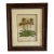 Lindenia Orchid Lithograph: Cypripendium Vexxillarium RCHB.Pl. CCCLX For Sale