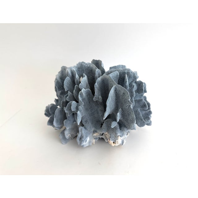 Chinoiserie Natural Blue Coral Specimen For Sale - Image 3 of 7
