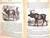"Popular Natural History" Wood, Rev. J. G. M. A. For Sale - Image 10 of 12