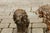 A small pair of Italian walnut hand carved roaring lion sculptures from the late 19th century, with dark patina. This pair...