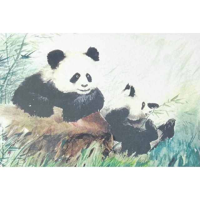 Dong Liang Yuan Set of 4 Framed & Matted Small Signed “Panda” Prints For Sale - Image 13 of 16