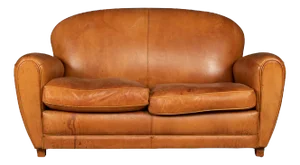 French 2-Seater Tan Sheepskin Leather Sofa