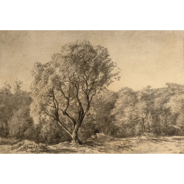 This exquisite early 1900s European antique charcoal drawing captures a breathtaking bucolic valley of trees, reminiscent...