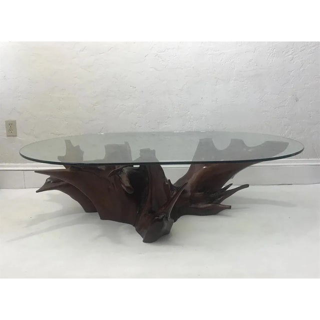 Mid Century Spanish Walnut Root Glass Top Coffee Table For Sale In San Francisco - Image 6 of 15