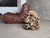 Large Organic Sculpture in Glazed Stoneware with Coral Forms, 2002 For Sale - Image 12 of 16