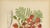 Hoola van Nooten, Royal Poinciana Botanical, 1880, Chromolithograph For Sale - Image 6 of 10