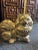1960’s Brass Pomeranian Dog Statue For Sale - Image 6 of 10