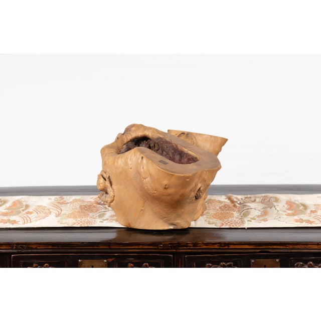 Late 19th Century Rustic Japanese Meiji Period Freeform Hibachi with Design, circa 1880 For Sale - Image 5 of 9