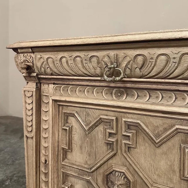 19th Century Flemish Renaissance Confiturier ~ Cabinet in Stripped Oak For Sale - Image 10 of 12