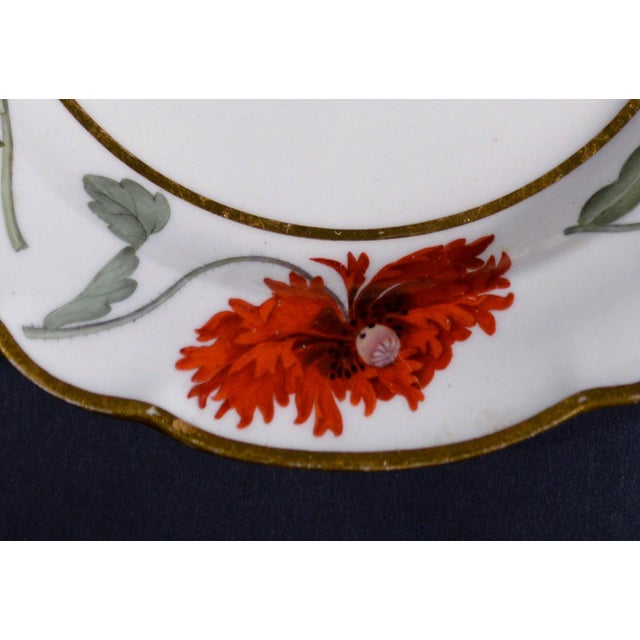 Flight, Barr & Barr Worcester Flight & Barr Worcester Porcelain Botanical Dessert Plate, Circa 1792–1804 For Sale - Image 4 of 8