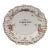Unusual and Rare English Antique Tongue Plate Raised Center For Sale