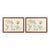 Pair of Vintage Botanical & Entomological Framed Art Prints For Sale