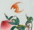 Chinese Porcelain Si Bat & Peach Motif Charger For Sale - Image 4 of 9