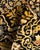 Textile Mogul, One-of-a-Kind Hand-Knotted Area Rug in Black, 2' 6" x 10' 5" For Sale - Image 7 of 8