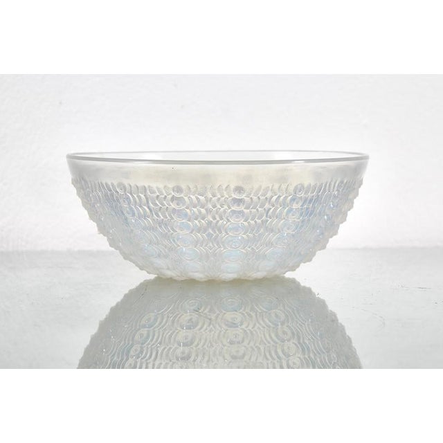 Glass Opalescent Crystal Mod. Oursins No. 2 Nemour Series Bowl from René Lalique, France, 1935 For Sale - Image 7 of 11