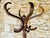 Mid-Century Modern Standing Coat Rack from Baumann, 1960s For Sale - Image 10 of 18