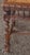 Brown Set of 6 Antique English Renaissance Carved Wood Chairs For Sale - Image 8 of 16