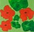 Nasturtium Love by J. Popolin For Sale
