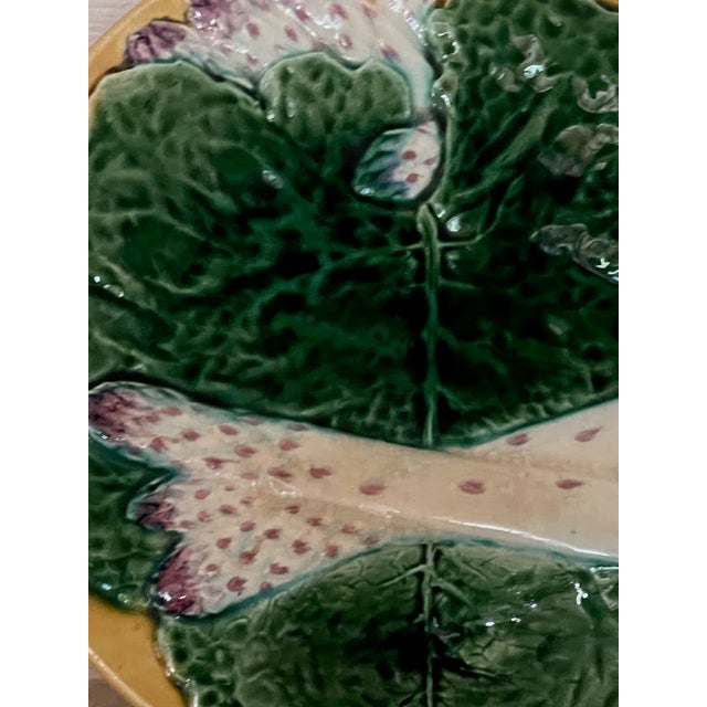 Creil Et Montereau French Majolica Asparagus Plate, 19th Century For Sale - Image 11 of 14
