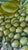 1960s Inarco Japan E2606 Green Majolica-Style Fruit Pedestal Compote For Sale - Image 9 of 18