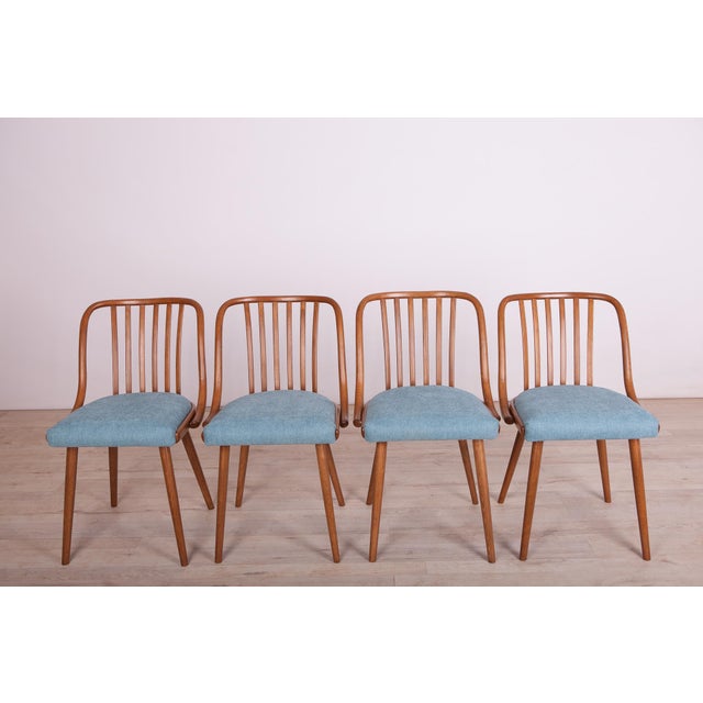 Mid-Century Modern Dining Chairs attributed to Antonin Suman for Ton, 1960s, Set of 4 For Sale - Image 3 of 15