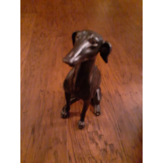1960s 1960s Chalkware Greyhound Life-Like Sculpture Likely Made in Italy For Sale - Image 5 of 7