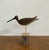 Mid-Century Modern 20th C. Mid-Century Modern Style Rustic Shorebird Sculpture on Driftwood For Sale - Image 3 of 6