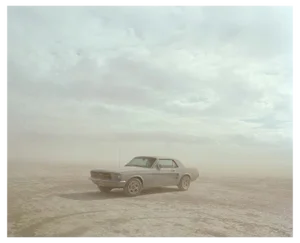 Samuel Hicks, Mustang, El Mirage, California, 2007, Chromogenic Print