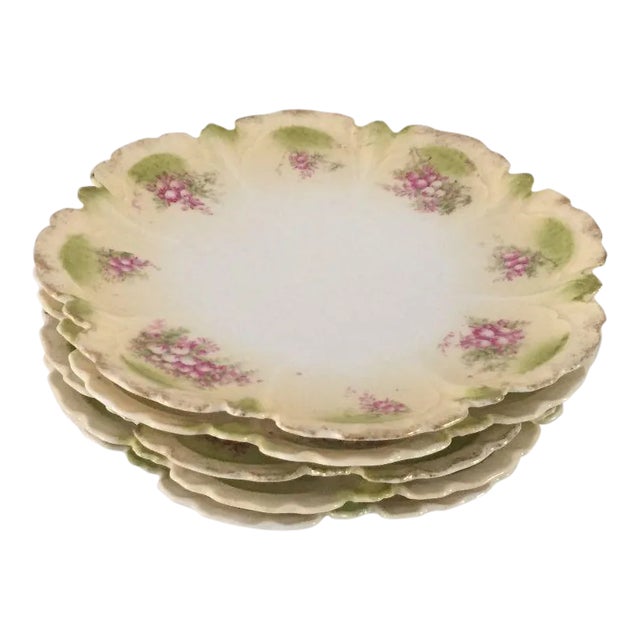 Antique Porcelain Floral Plates - Set of 5 For Sale