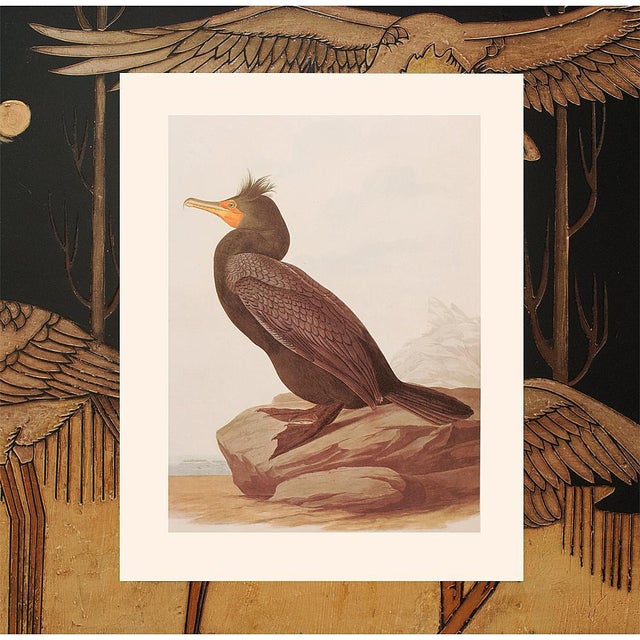 Coffee 1966 Vintage Cottage Print "Double-Crested Cormorant" After John James Audubon For Sale - Image 8 of 9