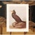 Coffee 1966 Vintage Cottage Print "Double-Crested Cormorant" After John James Audubon For Sale - Image 8 of 9