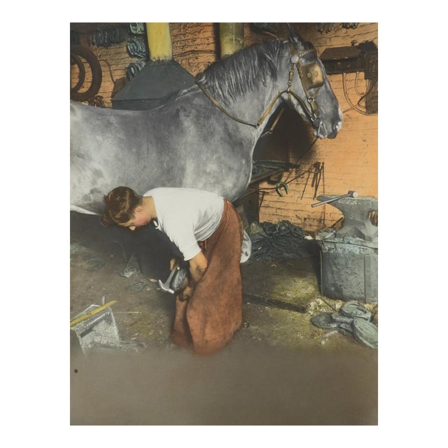 Early 20th Century Colortone Photograph of Horse and Farrier For Sale
