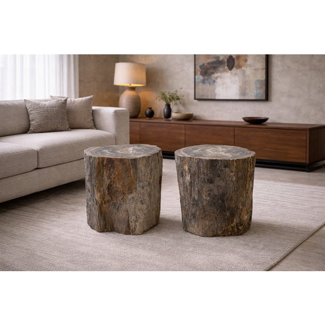Stone Petrified Wood Side Table by Xyleia Petrified Wood For Sale - Image 7 of 8