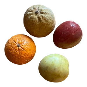 Lot of 4 Stone Fruit, Mid 20th Century